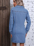 Ruched Button Up Long Sleeve Denim Dress